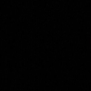 Meet your Posher, Shelby